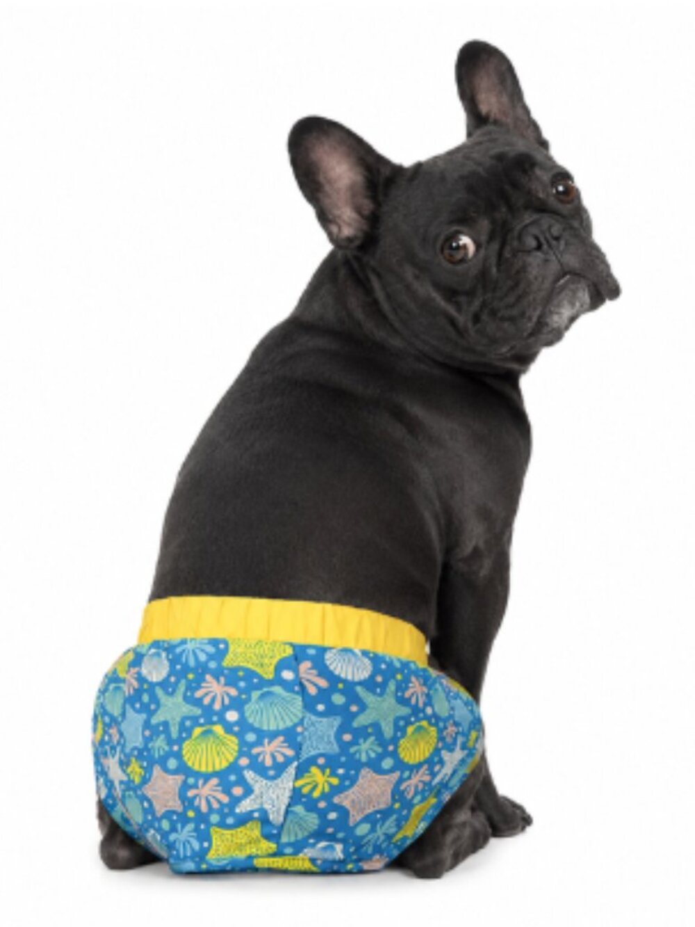 Woof Ocean Dog Swim Trunks Medium & Large Pet Beach Pool Shorts Adjustable New